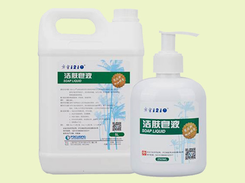 方金1210<SUP>®</SUP>洁肤皂液（250ml）
